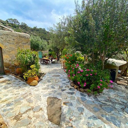 Natura Cottages Makrýgialos Exterior foto